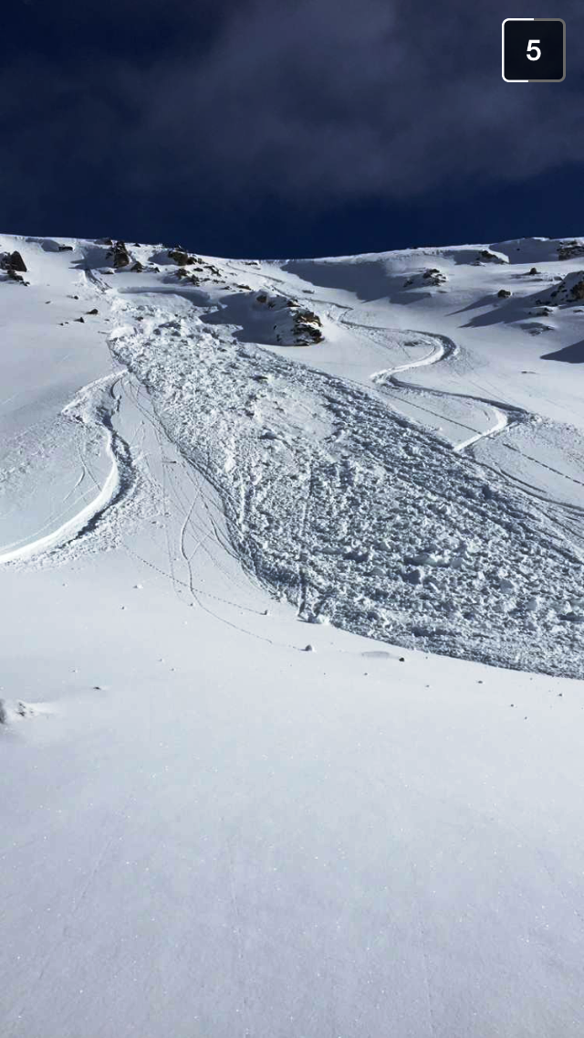 Avalanche in backcountry above Gardiner