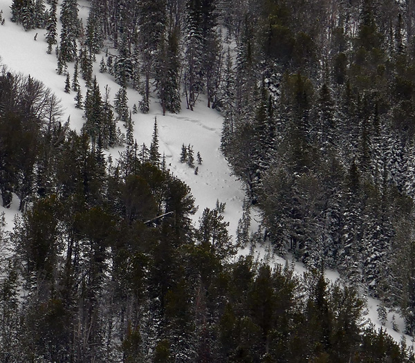 Republic Creek Natural Avalanche