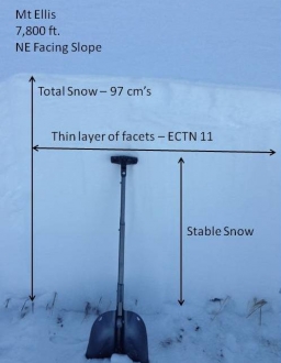 Mt Ellis Snowpack - 1/1/15