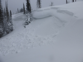 Human triggered wind slab - Taylor Fork